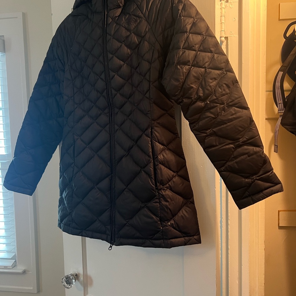 The North Face Black Quilted Puffer Jacket/parka